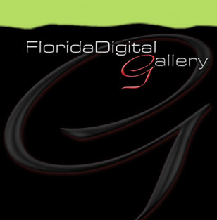 Florida Digital Gallery Logo
